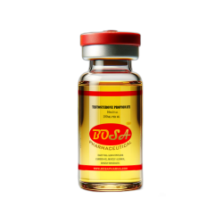 Testosterone Propionate